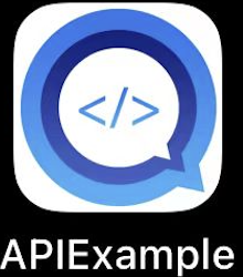 APIExample