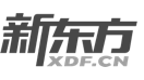 https://web-cdn.agora.io/website-files/images/homepage-logo-xindongfang.png